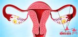 成都怎么找到代孕女人:月经的发生与哪些因素有关