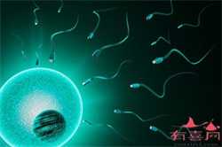成都代孕零风险包男女:孕期导致胎儿畸形的因素