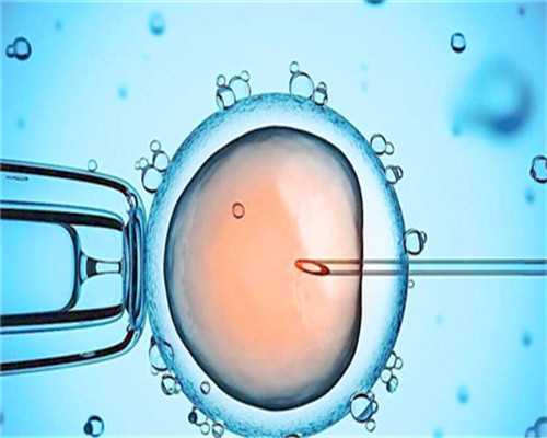 成都代孕官网_成都代孕供卵价格_为什么胚胎会养囊养失败