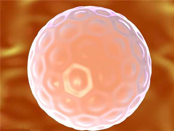 养囊知识科普：一文弄清楚3bb囊胚质量及移植成功率